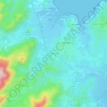 Topografische Karte Monte Petrosu, Höhe, Relief