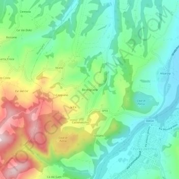 Topografische Karte Bicchignano, Höhe, Relief