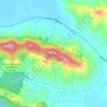 Topografische Karte Bukit Payong, Höhe, Relief
