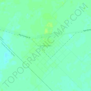Topografische Karte Carlos Salas, Höhe, Relief
