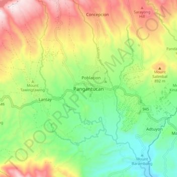 Topografische Karte Pangantucan, Höhe, Relief