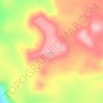 Topografische Karte Bushfire Hill, Höhe, Relief