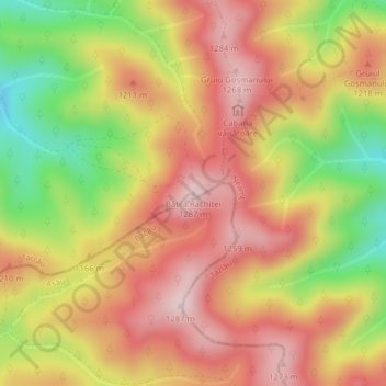 Topografische Karte Bâtca Răchiței, Höhe, Relief