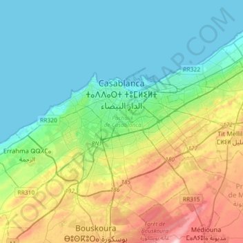 Topografische Karte Casablanca ⵜⵉⴳⵎⵉ ⵜⵓⵎⵍⵉⵍⵜ الدار البيضاء, Höhe, Relief