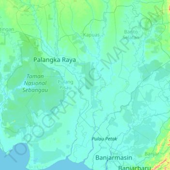 Topografische Karte Pulang Pisau, Höhe, Relief