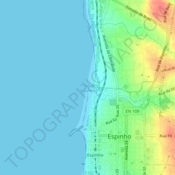 Topografische Karte Praia de Espinho, Höhe, Relief